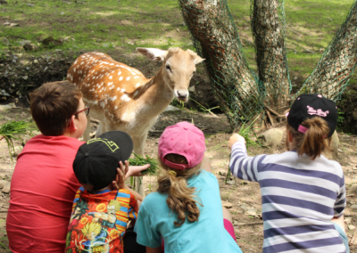 10 activités nature à faire en famille