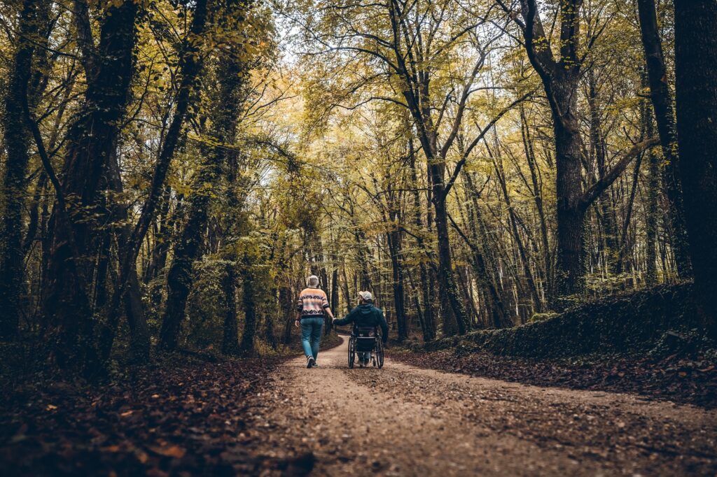 La fageda d'En Jorda